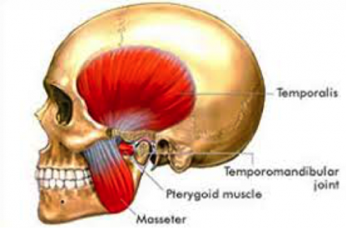 Temporomandibular Disorders Tmd Pure Physio